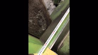 新南製粉砕機の詳細画像|2枚目