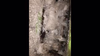 新南製粉砕機の詳細画像|3枚目