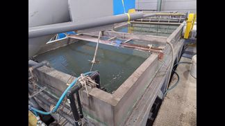 日本シーム製粉砕機の詳細画像|7枚目