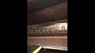 ホーライ製粉砕機の詳細画像|2枚目